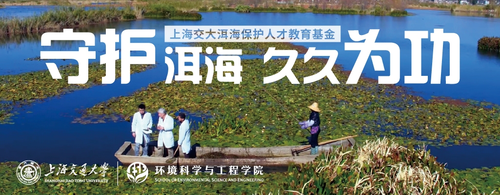 免费av
