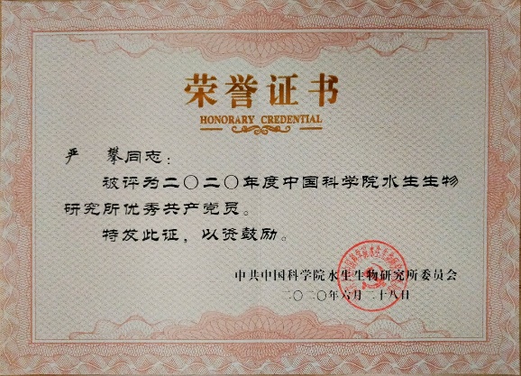 免费av