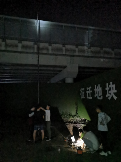 免费av