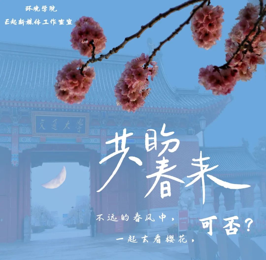 免费av