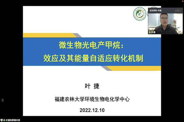 免费av