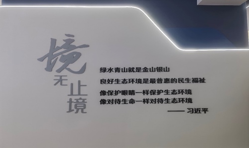 免费av