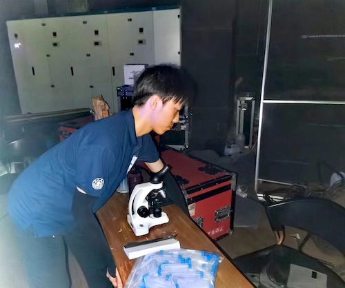 免费av