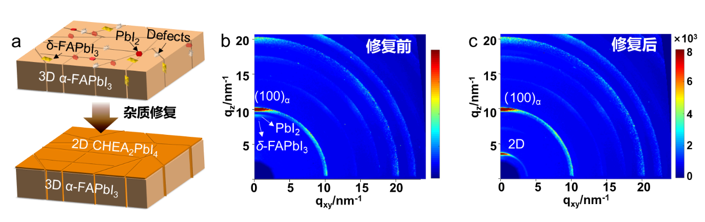 免费av